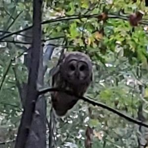 Meet your Posher, Cassie